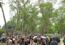 The Legacy of Doves A Tale of Cappadocia’s Vineyards
