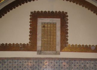 Exploring the Depths Diving in Kusadasi