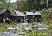 The Neorion at the Heptascalon and Its Location